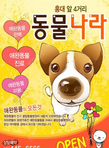 韩国儿童广告图片