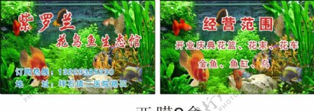 紫罗兰花鸟鱼生态馆图片
