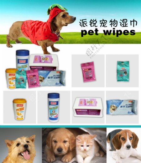 宠物湿巾宣传单图片