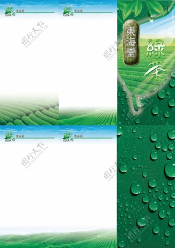 绿茶三折页模板图片
