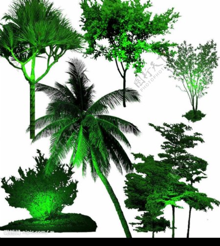 灯光效果景观树木PSD素材2图片