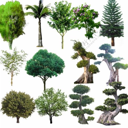 树木PSD素材图片