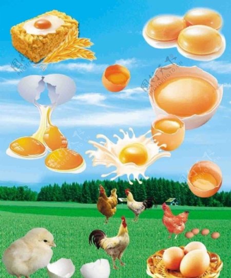 鸡蛋沙琪玛图片