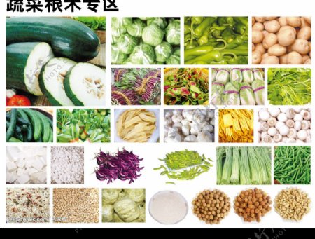 蔬菜粮米区图片