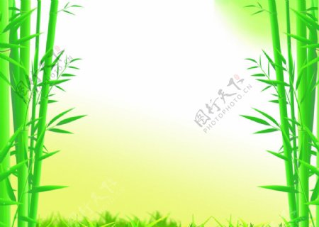 竹子海报图片