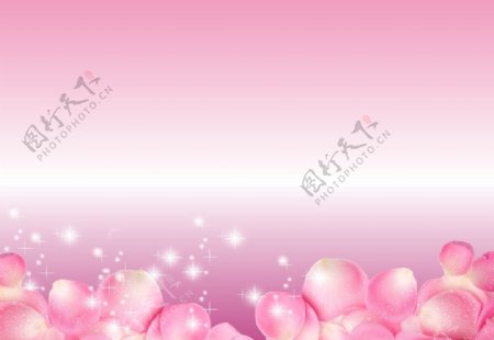 浪漫粉色花瓣背景图片