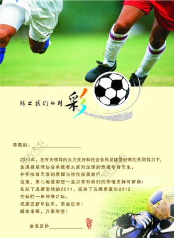 2012足球协会信卡内页图片
