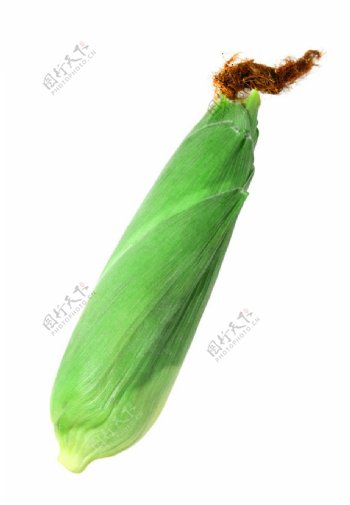 玉米苞图片