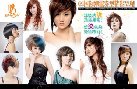 多种发型wlss图片