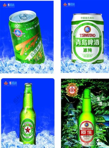 青岛啤酒系列图片