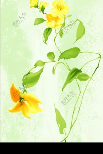 植物和花纹7图片