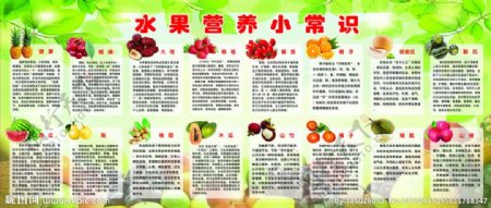 水果营养小常识海报图片