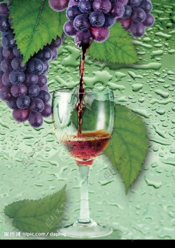 葡萄和葡萄酒分层PSD素材图片