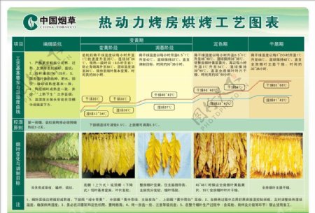 烟草烘烤工艺图片