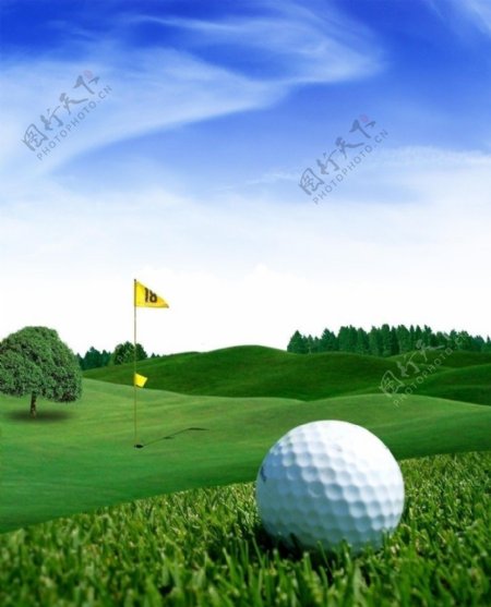 高尔夫图片