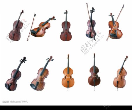 大小提琴图片