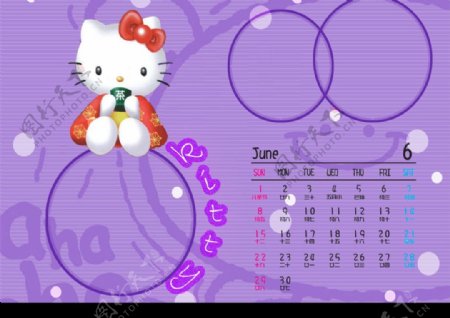 2008年猫儿日历6月图片