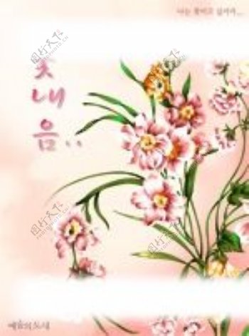 韩国花纹底图图片