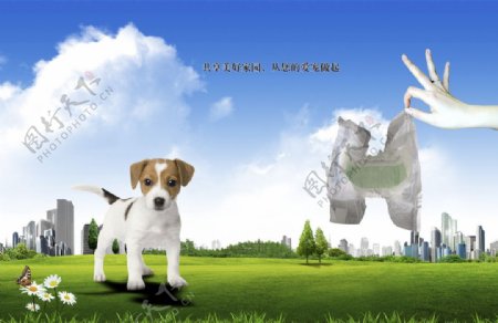 宠物公益海报图片