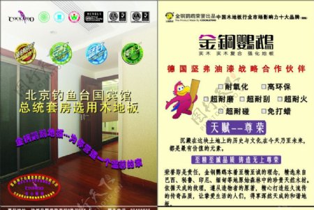 金钢鹦鹉徐州红星美凯龙宣传单页图片