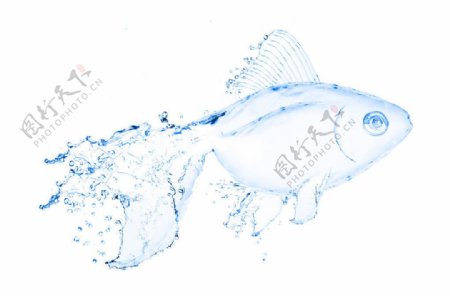 液态水组成的游鱼图案创意图片