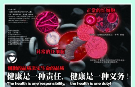 红细胞海报图片