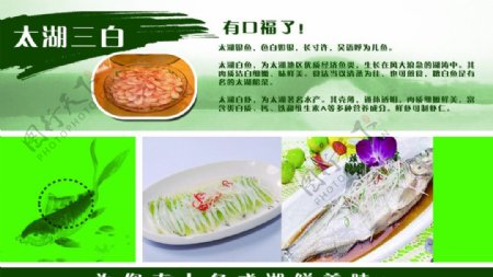 太湖三白美食海报图片