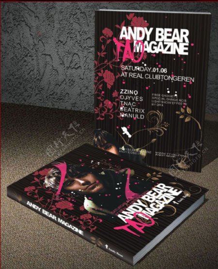 AndyBear书籍装帧封面图片