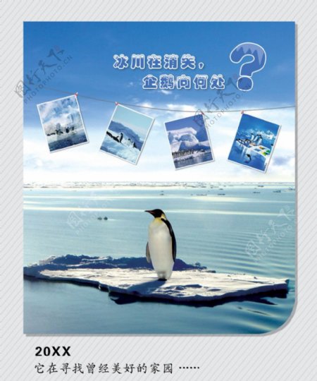 企鹅公益广告图片