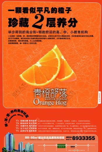 青橙部落房地产报广设计图片