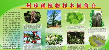 珍稀植物样本园简介图片