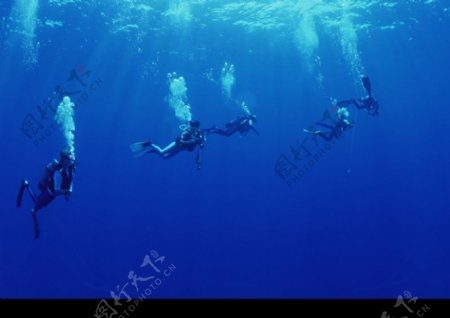 深海潜玩0028