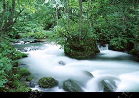 高山流水0087