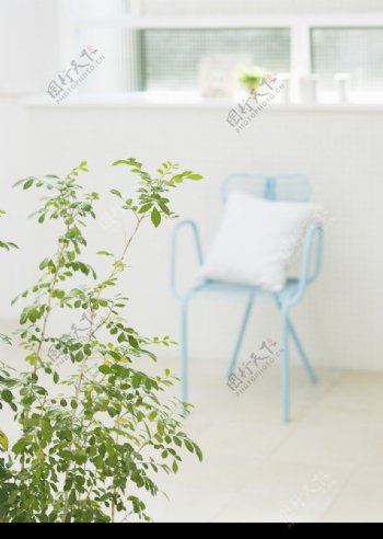 植物与空间0079