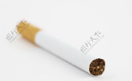 香烟迷绕0246