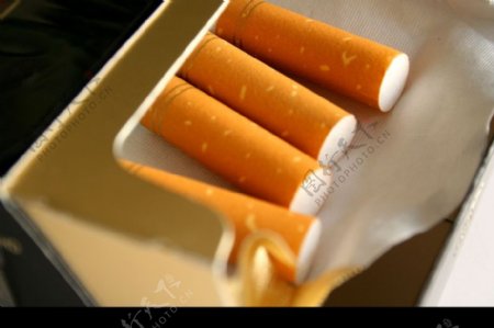 香烟迷绕0050