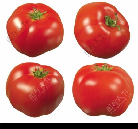 西红柿0038