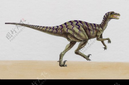白垩纪恐龙0067