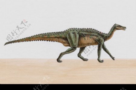白垩纪恐龙0097