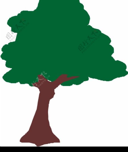 树木0748