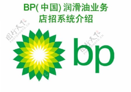BP润滑油0019