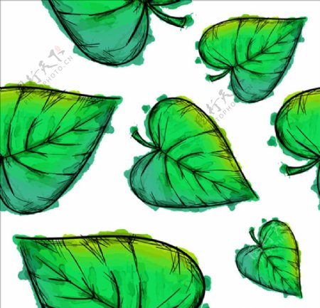 绿色的水彩树叶插图