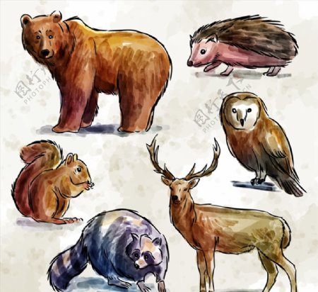 6款彩绘野生动物矢量素材