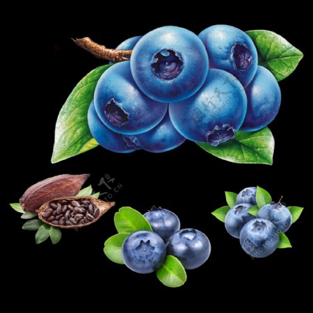 蓝莓可可豆超高清分层素材