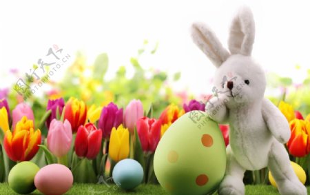 小兔子和彩蛋高清摄影