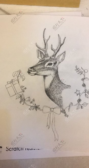 手绘圣诞麋鹿