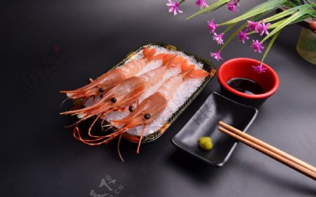 日本甜虾