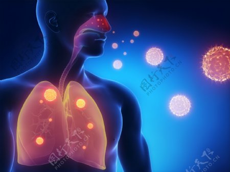 人体肺呼吸高清素材图
