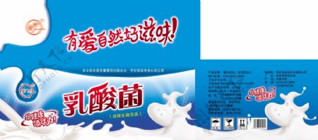 乳酸菌牛奶