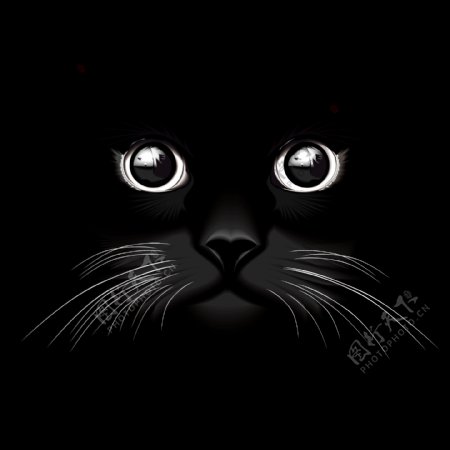 黑猫的眼睛矢量